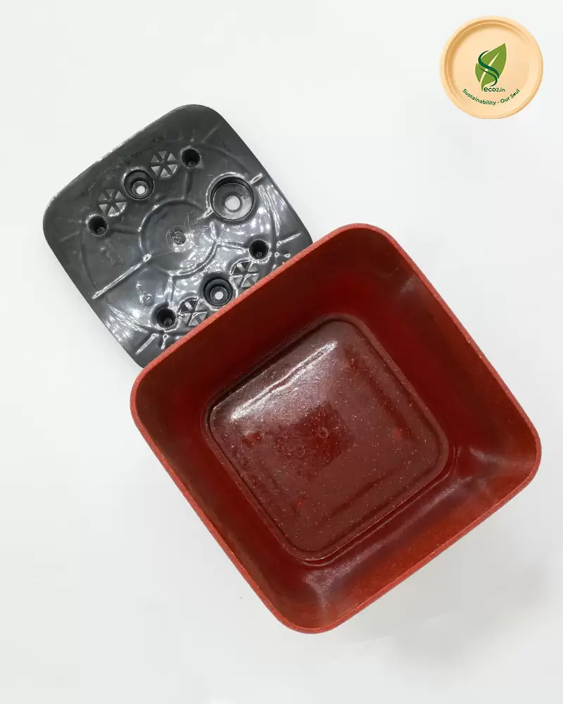 Eco Royal Daisy Planter - Image 3